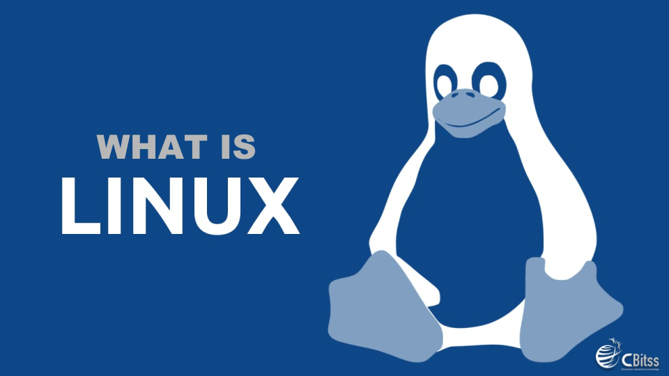What is linux